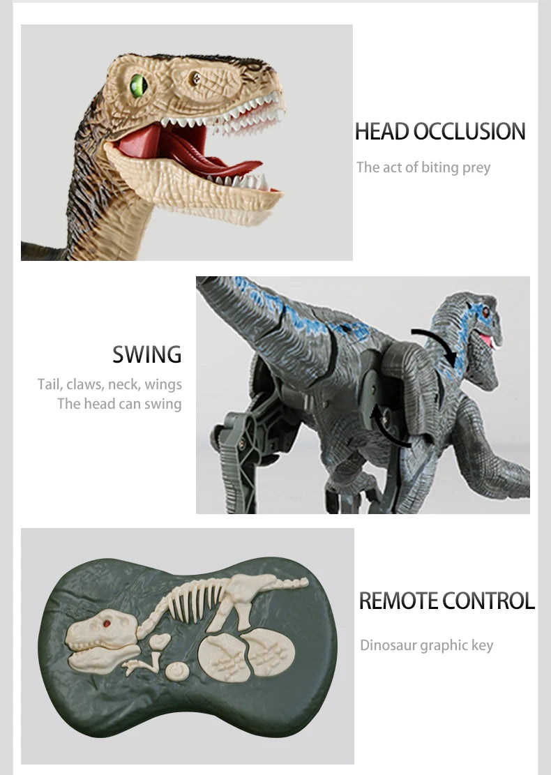 Remote Control Dinosaur Toy