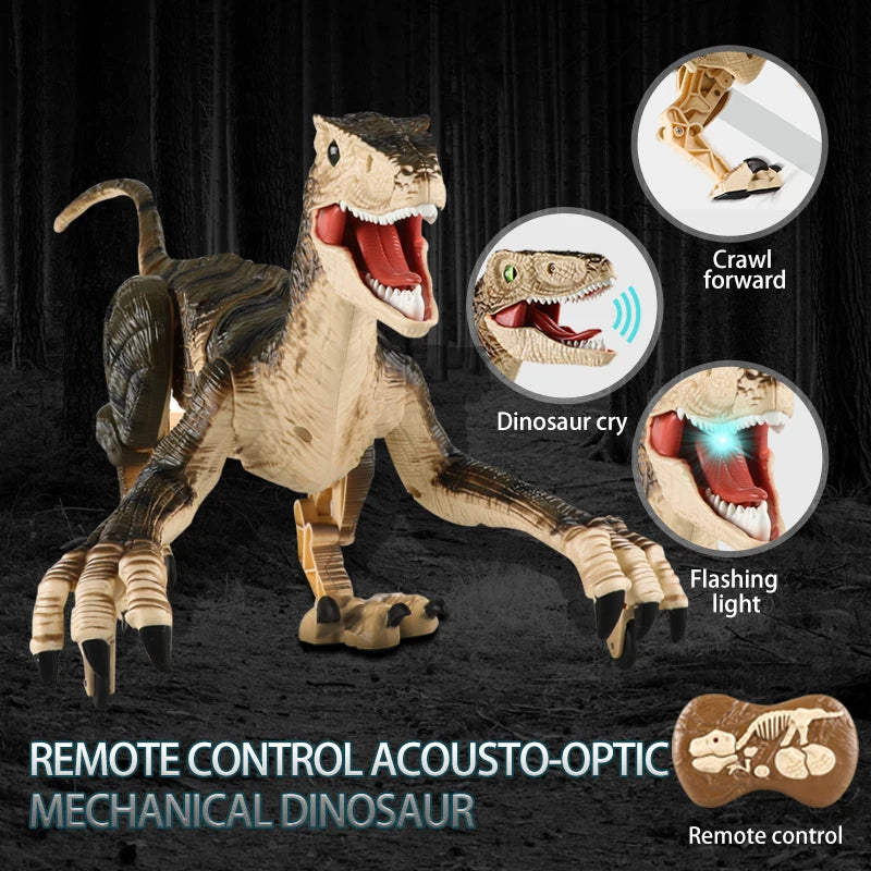 Remote Control Dinosaur Toy