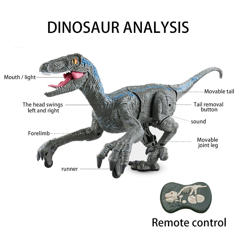 Remote Control Dinosaur Toy