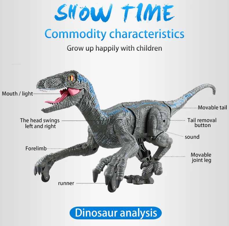 Remote Control Dinosaur Toy